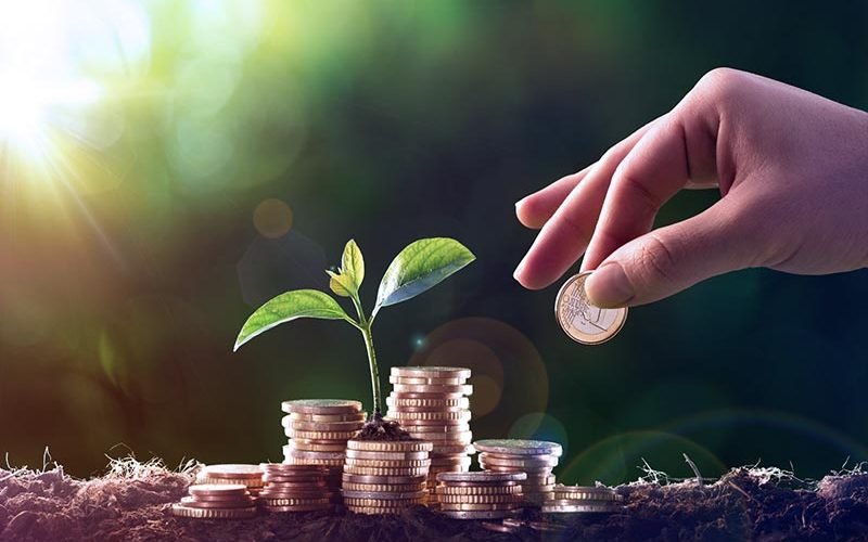 Zakat, Infak, dan Sedekah: Instrumen Ekonomi yang Sering Diremehkan