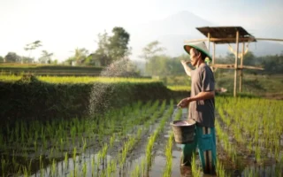 Ketahanan Pangan Tak Cukup Mengandalkan APBN, Wakaf Harus Ambil Peran